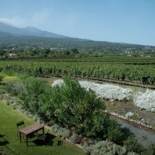 Wine country stay Etna