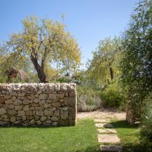 Agriturismo Relais Noto_Fico d'India