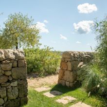 Agriturismo Relais Noto_Fico d'India