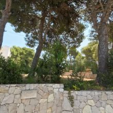 Stone and Mediterranean vegetation Stone and Mediterranean vegetation surrounding this residence by Gallipoli