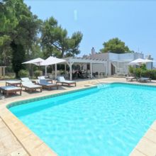 A hideaway between pine trees and the sea The pool surrounded by pine trees in Salento