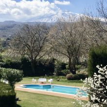 The terrific view from the pool The pool with an Etna view