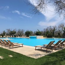 Large swimming pool set among the olive groves of a Salento masseria