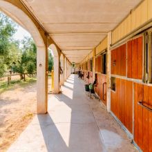 The agriturismo's riding stables The agriturismo's riding stables
