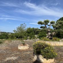 Masseria Cisternino in Valle d'Itria-the garden