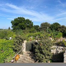Masseria Cisternino in Valle d'Itria-the garden