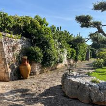 Masseria Cisternino in Valle d'Itria-the garden