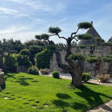 Masseria Cisternino in Valle d'Itria-the garden