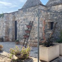 Masseria Cisternino in Valle d'Itria-the trullis