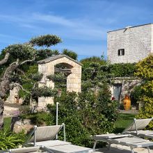 Masseria Cisternino in Valle d'Itria-the garden