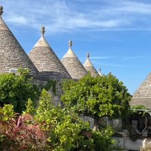 Masseria Cisternino in Valle d'Itria-the trulli in the garden