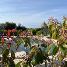 Masseria Cisternino in Valle d'Itria-the garden