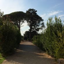 Country stay Ostuni