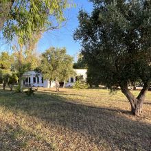 Southern light, old stone and the luxury of simplicity Warm sunlight falling across the stone walls of a historic Apulian masseria