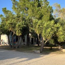 An old-world refuge beneath the generous skies of Puglia Historic wine country estate in Apulia bathed in late afternoon sunlight