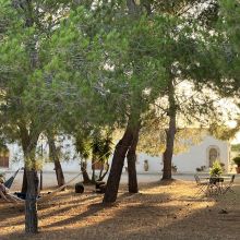 Little paths, quiet corners and time to get lost Mediterranean garden with stone paths and flowering plants at a rural resort in Salento