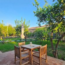 Agriturismo Limoneto dell'Etna_garden