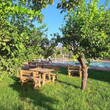 Agriturismo Limoneto dell'Etna_garden