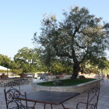 Trulli country stay_Apartment Fico