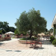 Trulli country stay_Apartment Fico