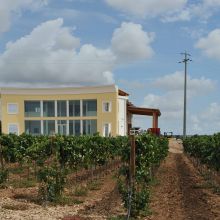 Wine country stay_Apulian winery