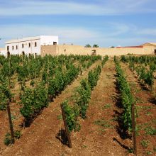 Winery resort Marsala