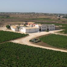Winery resort Marsala