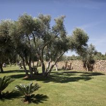 Country luxury resort Lecce_garden