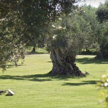 Country luxury resort Lecce_garden