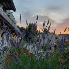 Country Hotel Peschici_view