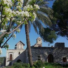 Country coach house Ruvo-the nature around