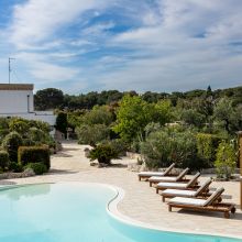 Pool surrounded by Mediterranean vegetation Swimming pool surrounded by palm trees and Mediterranean vegetation in Salento