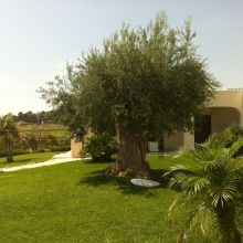 Residence Scala dei Turchi