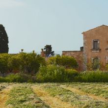 Agriturismo Siracusa_view