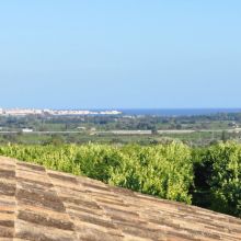 Agriturismo Siracusa_view from terrace