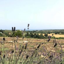 Agriturismo Relais Noto