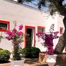 Welcome to our masseria in Puglia