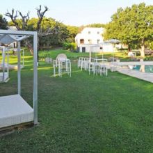 Large pool surrounded by greenery in Puglia