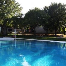 The pool surrounded by Mediterranean countryside