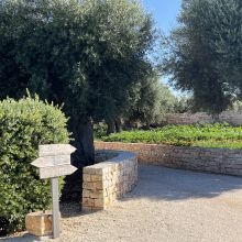 Trulli Suites Polignano, the entrance to the masseria