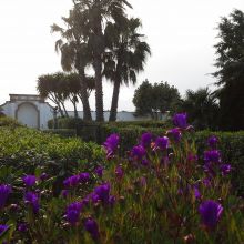 Agriturismo Gallipoli_garden