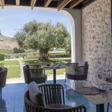 Enjoy your breakfast on the veranda, surrounded by nature and vineyards, 2 km from the beach Breakfast on the terrace of the masseria, surrounded by nature and vineyards, 2 km from the beach