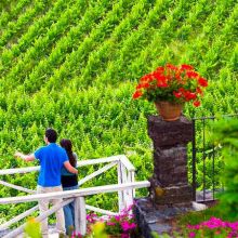 Wine resort Etna East_view