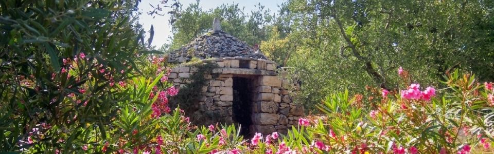 A beautifully landscaped garden in full bloom A blooming garden in the agriturismo Trani