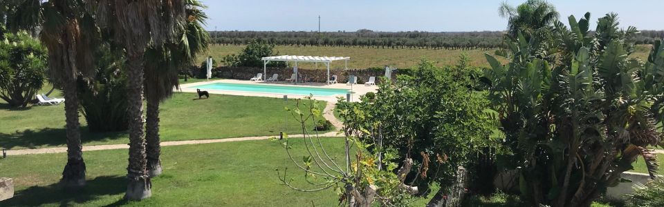 Pool and gardens, a refreshing pause beneath the southern sun Outdoor swimming pool at a traditional country house in Salento, Puglia