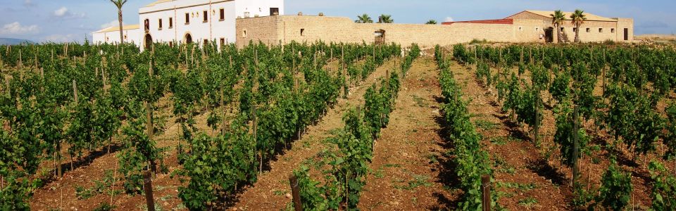 Winery resort Marsala