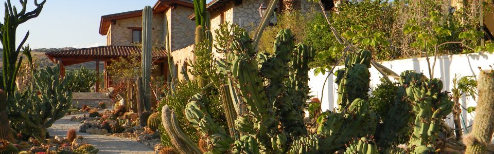 Agriturismo Valley of the temples