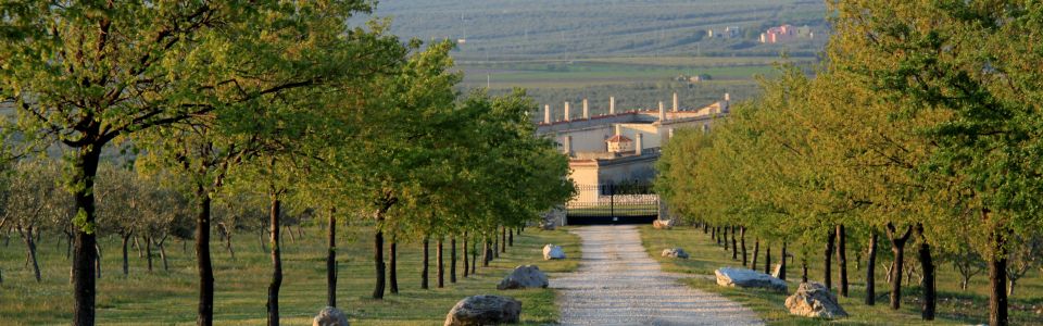 Historical Apulian masseria surrounded by the countryside near Castel del Monte, Puglia
