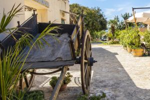 Agriturismo Trapani_Outdoor