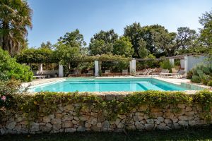 The pool in the garden Cisternino Trulli-the pool